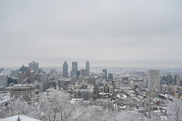 istock Montreal downtown in snow 511207542