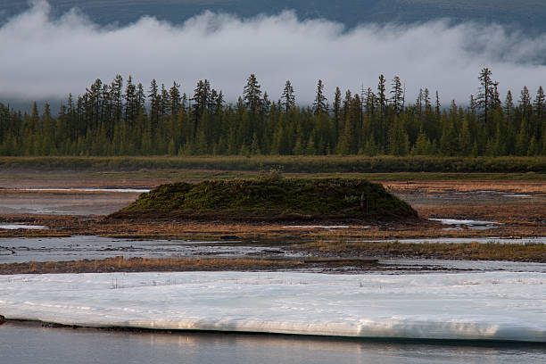 istock Remnants of ice in the river valley. 511207910