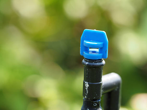 istock Plant watering micro sprayer sprinkler 511209150