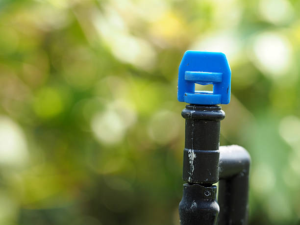 istock Plant watering micro sprayer sprinkler 511209202