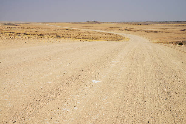 istock Long distance cycling in the Namib, Namibia 511212036
