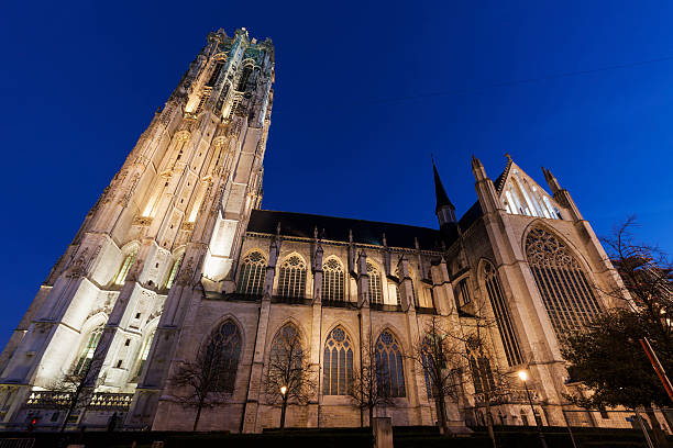 istock Saint Rumbold's Cathedral in Mechelen 511212360