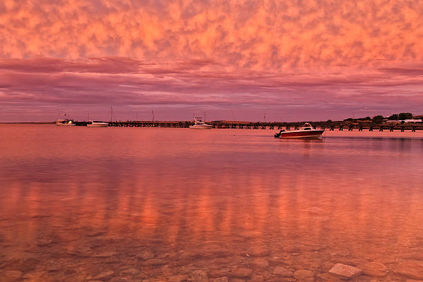 istock SA Streaky bay pink seabed 511213820