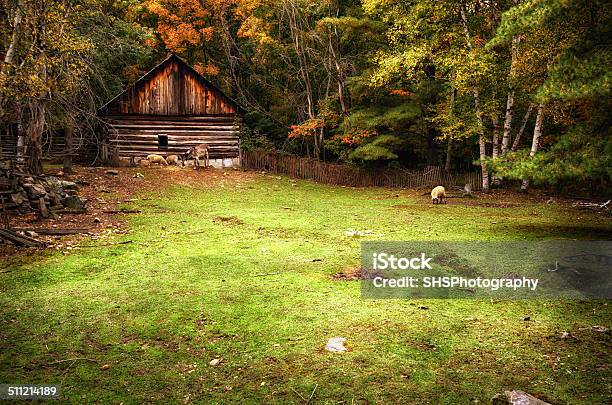 Farm Animals Eating By A Log House Stock Photo - Download Image Now - Cultures, Donkey, Huntsville - Ontario