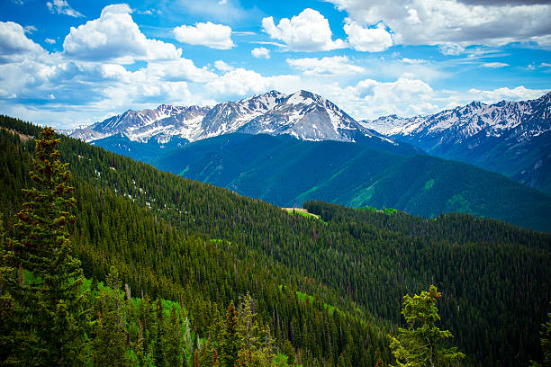 istock Aspen, Colorado gorgeous mountain side in summer 511214599