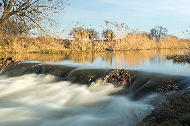 Flowing water in the river, coastal vegetation dispelled by wind Flowing water in the river, coastal vegetation dispelled by wind. dispelled stock pictures, royalty-free photos & images