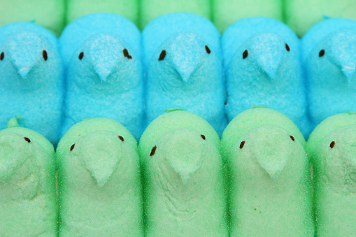 West Palm Beach, USA - March 23, 2015: Rows of green and blue Peeps Easter candy marshmallow chicks. Peeps marshmallow chicks are a popular Easter candy treat. They are a product of Just Born Inc.