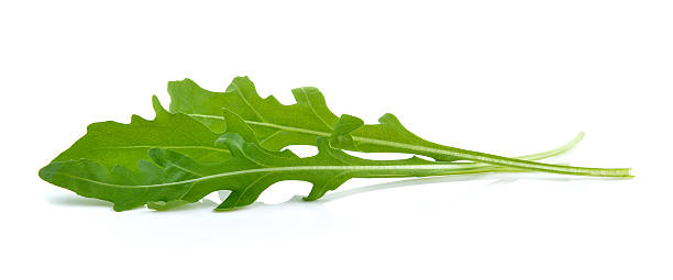 istock Sweet rucola salad or rocket lettuce leaves isolated on white 511221144