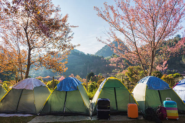 Colorful tents on the mountain stock photo