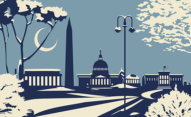 Washington DC Washington DC Winter Skyline washington dc stock illustrations
