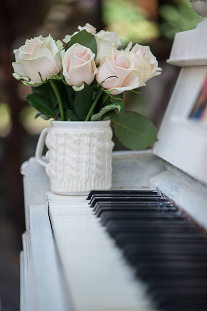 istock Beauty of roses 511240339