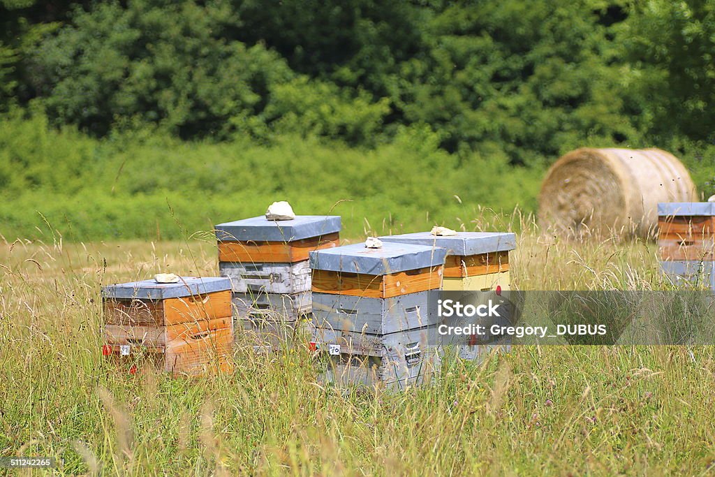 Hausgemachte Bienenstock im Feld - Lizenzfrei Frankreich Stock-Foto