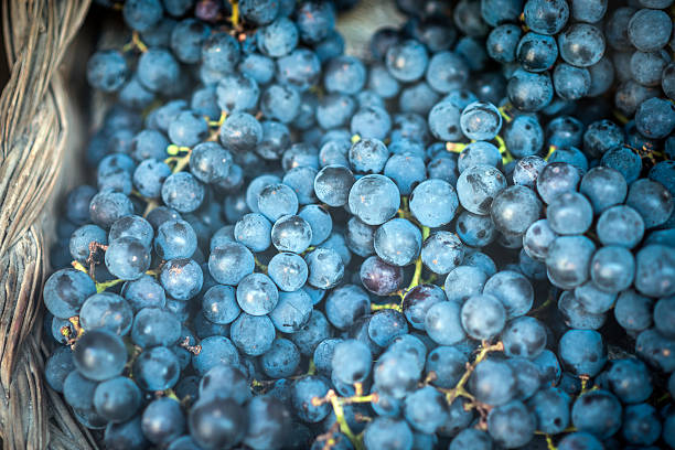 istock Grapes in street market 511242283