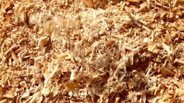 Wood Shavings And Sawdust Piling Up