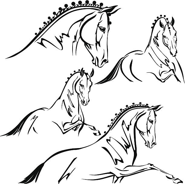 馬場馬術テーマの予告編デザイン - themes点のイラスト素材／クリップアート素材／マンガ素材／アイコン素材