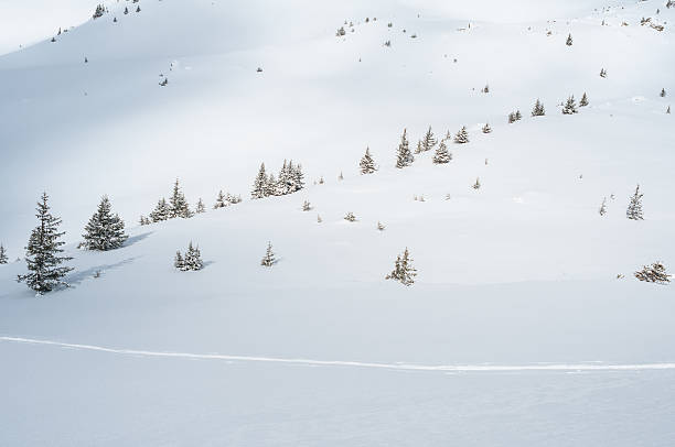 istock Winter Landscape with Snow and Trees 511245341