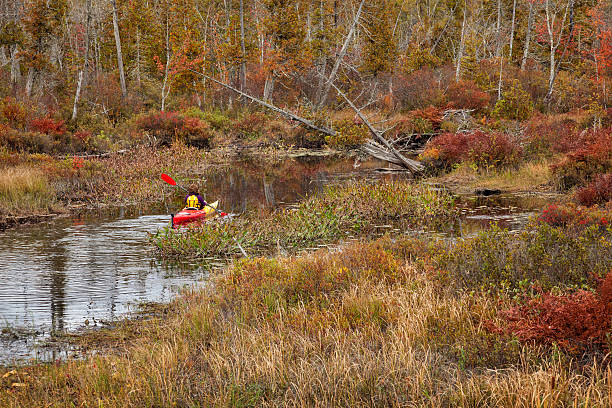 Autumn Kayaker stock photo