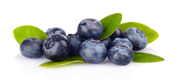 istock Assortment of fresh blueberries leaves isolated white 511281531