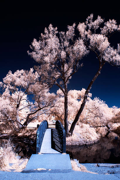 инфракрасный мост через воду в парк - infrared landscape bridge blue стоковые фото и изображения