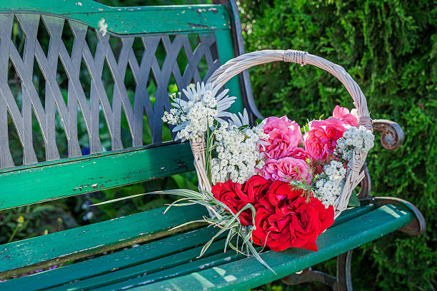 Wonderful colorful flowers.
