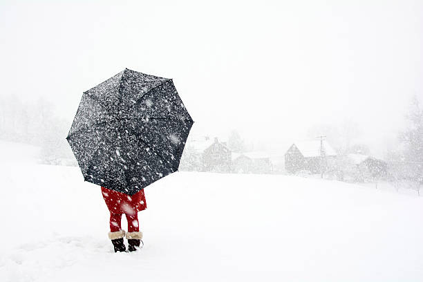 istock Lonely in the winter wonderland 511298132