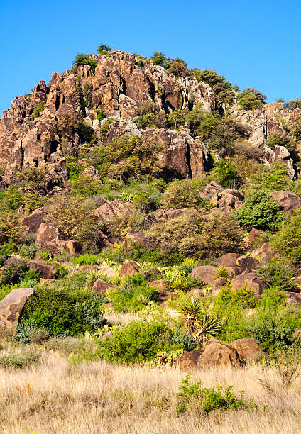 istock Fort Davis National Historic Site 511298150