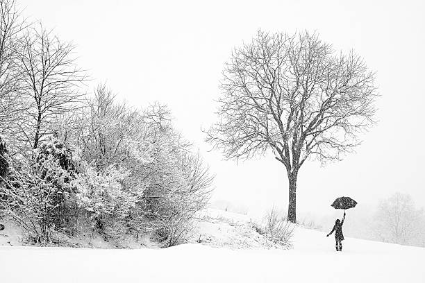 Tree & Snow