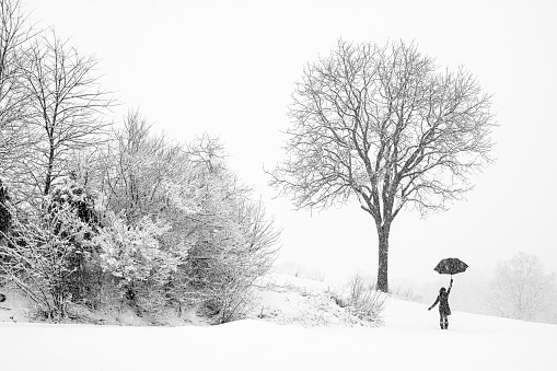 A woman walking alone in snow storm watching falling snow, Woman holding an umbrella up walking in snow storm, Lonely woman in the winter wonderland