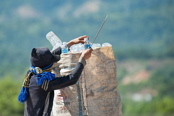 Scavengers stock photo