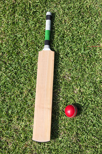bate de críquet y pelota en césped verde - wooden bat fotografías e imágenes de stock