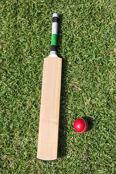 istock Cricket bat and ball on green grass 511302024
