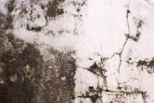 istock cracked concrete vintage wall background, old wall . Textured background 511302576