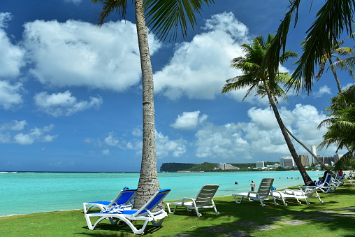 Coconut palm trees erect at seashore,blue ocean and blue sky. Tourists and lounge chairs under coconut palm trees,sunlight and sunny weather. Tumon Bay,Guam,USA.