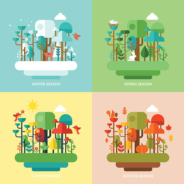 bildbanksillustrationer, clip art samt tecknat material och ikoner med four seasons concept with nature forest, trees and animals - fyra årstider illustrationer