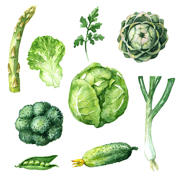青野菜セット - asparagus vegetable white background freshness点のイラスト素材／クリップアート素材／マンガ素材／アイコン素材