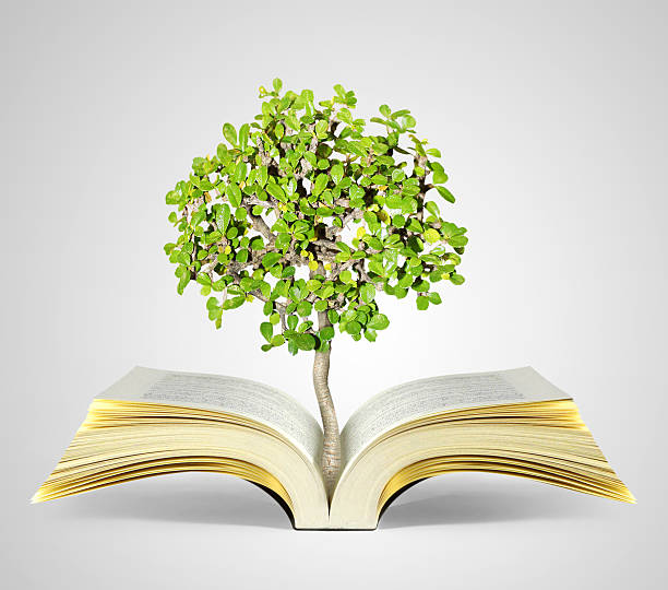 istock book of fantasy stories 511306932