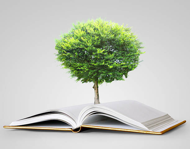istock book of fantasy stories 511306958