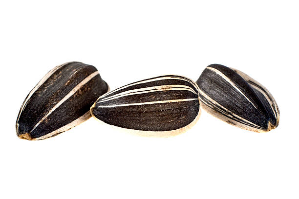 istock Sunflower seeds isolated on white background, close-up 511309414
