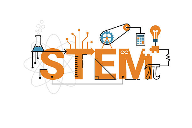 illustrazioni stock, clip art, cartoni animati e icone di tendenza di stelo parola progettazione tipografico - stem tematica