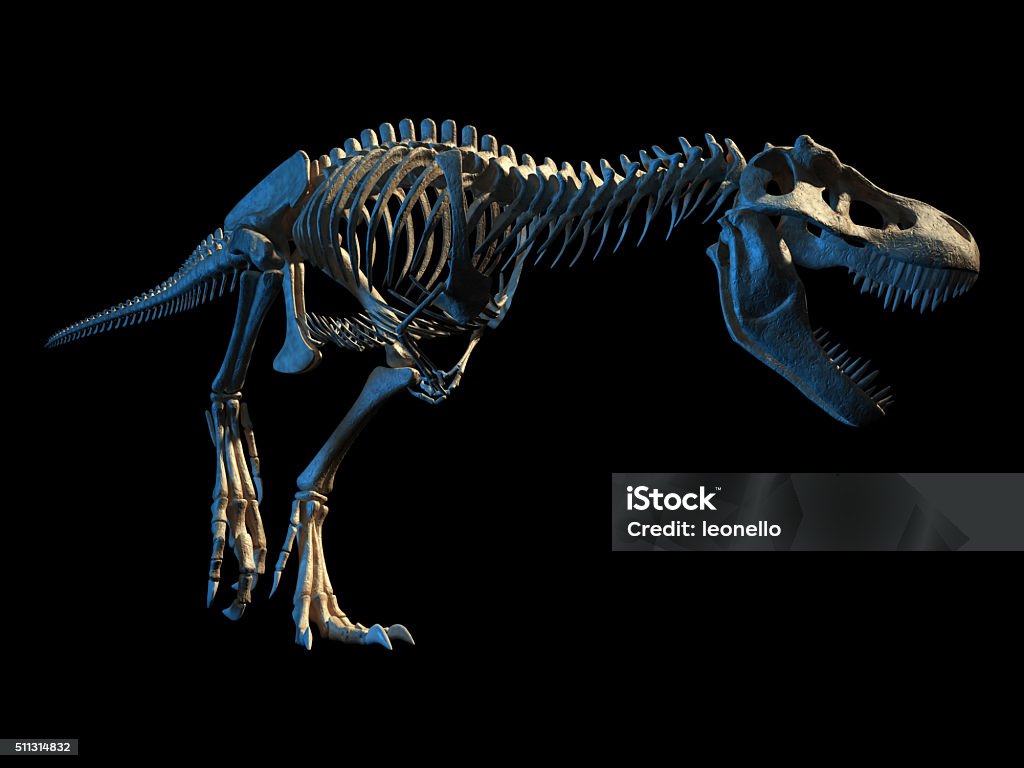 T-Rex Fotorealistische vollständige Skelett. Perspektive Aussicht. - Lizenzfrei Dinosaurier Stock-Foto