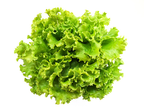 green lettuce salad on a white background isolate 