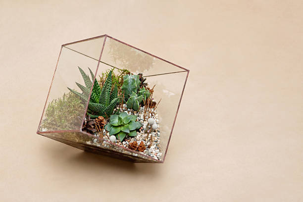 istock mini succulent garden in glass terrarium 511317020