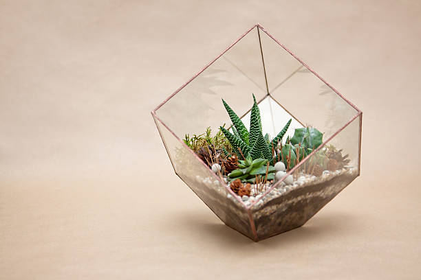 istock mini succulent garden in glass terrarium 511317536