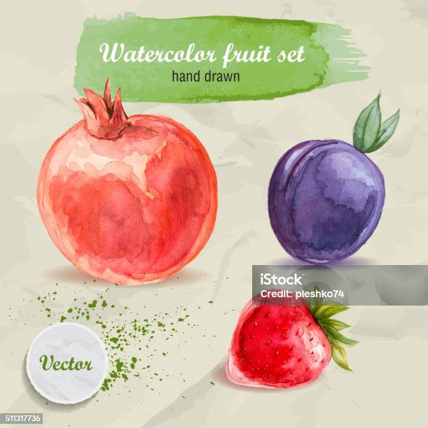 Watercolor Hand Drawn Fruit Set Red Pomegranate Plum And Strawberry Stock Illustration - Download Image Now