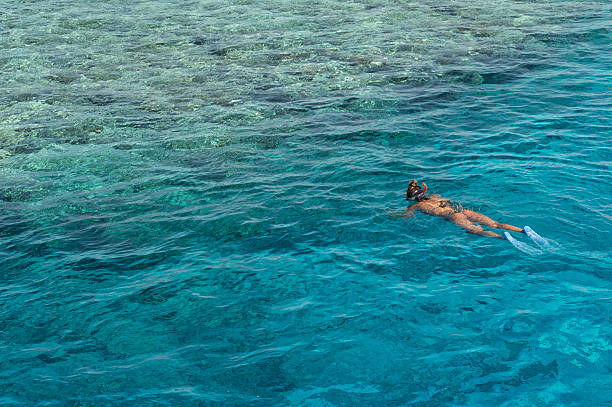 istock Travel to Africa 511317928