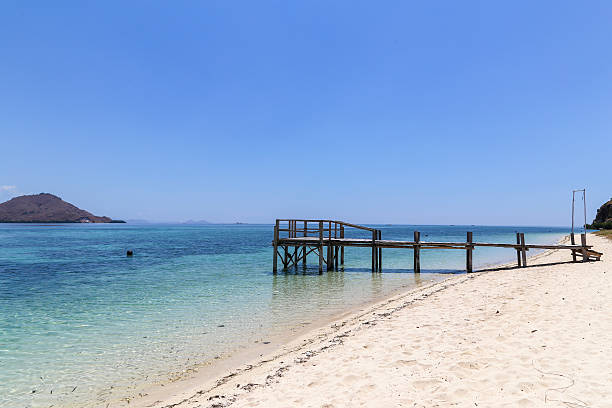 istock Let's wait someone aproach the island... 511317944