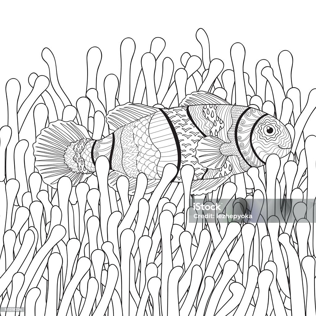 Clown fish in sea anemones with high details. Clown fish in sea anemones with high details. Adult antistress coloring page. Black white hand drawn doodle oceanic animal. Sketch for poster, print, t-shirt in tracery style. Vector illustration. Adult stock vector