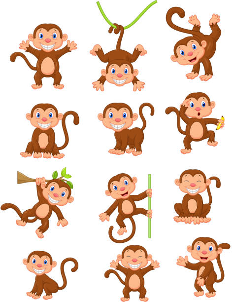 Happy Monkey Cartoon Collection Set-vektorgrafik och fler bilder på Apa -  Apa, Människoapa, Serier - iStock