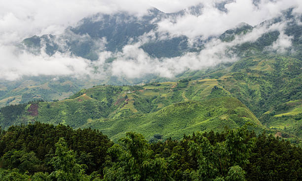 istock Tropical forest and mountain in the mist 511320572