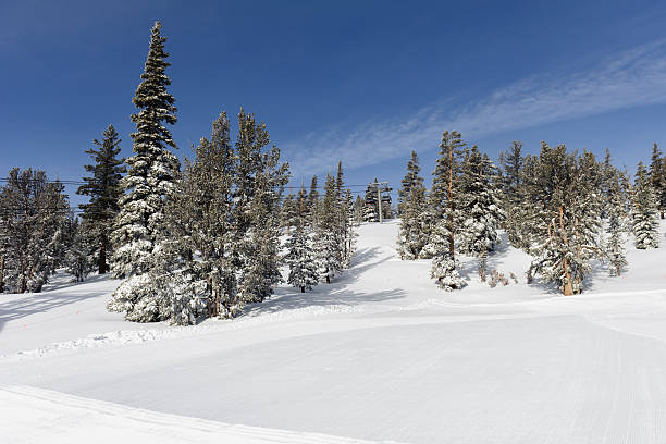 istock quiet ski slopes a south lake tahoe 511320658
